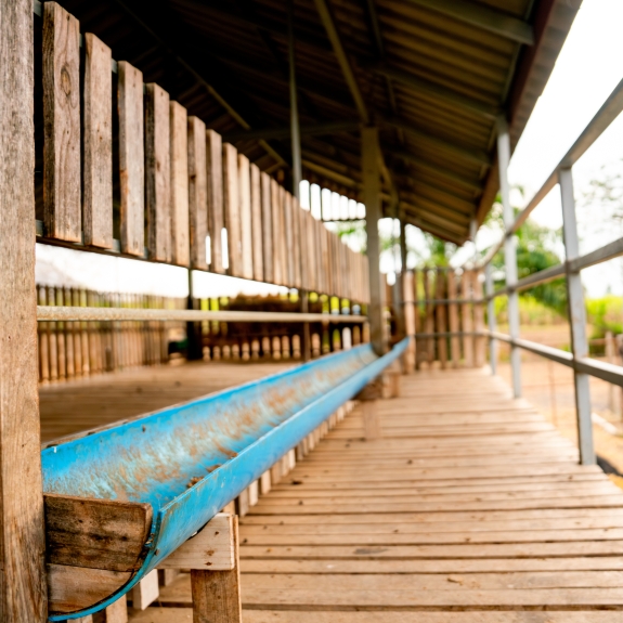 Manutenção de Cochos